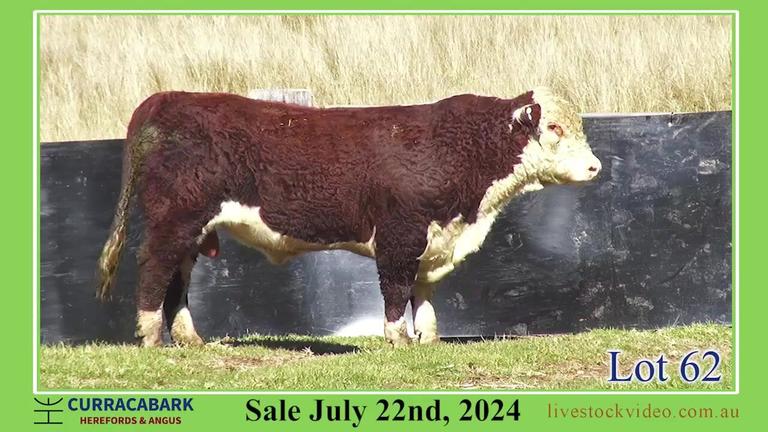 Lot 62