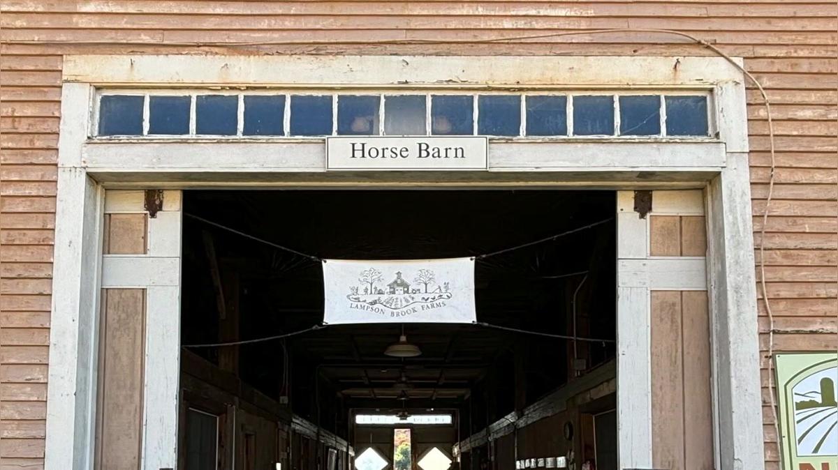 Save the Horse Barn 11-01-2024