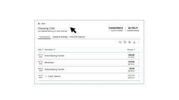 Account Details