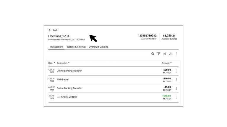 Account Details