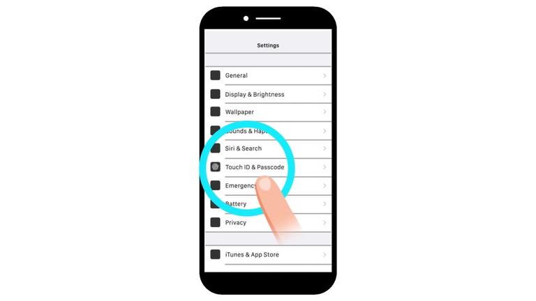 Touch ID Setup