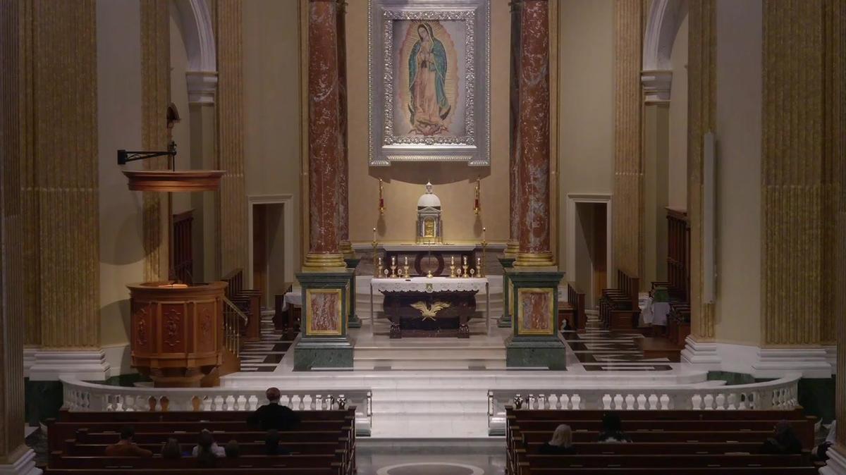 Father Nemeth, Holy Mass, 6 October 2024