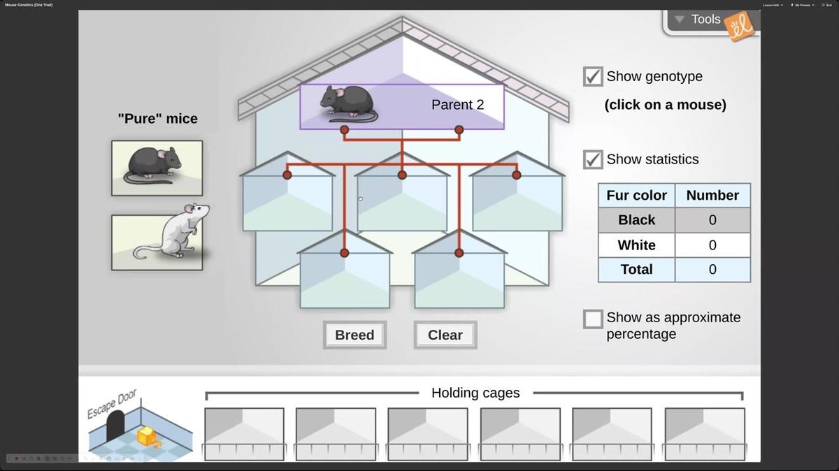 Untitled Video January 23, 2025 11_55 AM