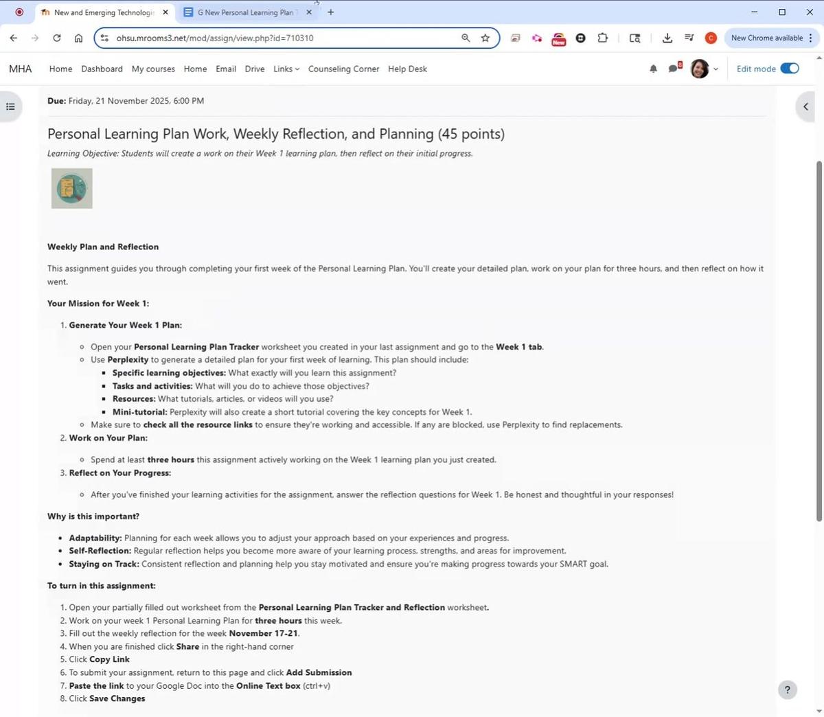 Week 1 Plan Assignment Instructions