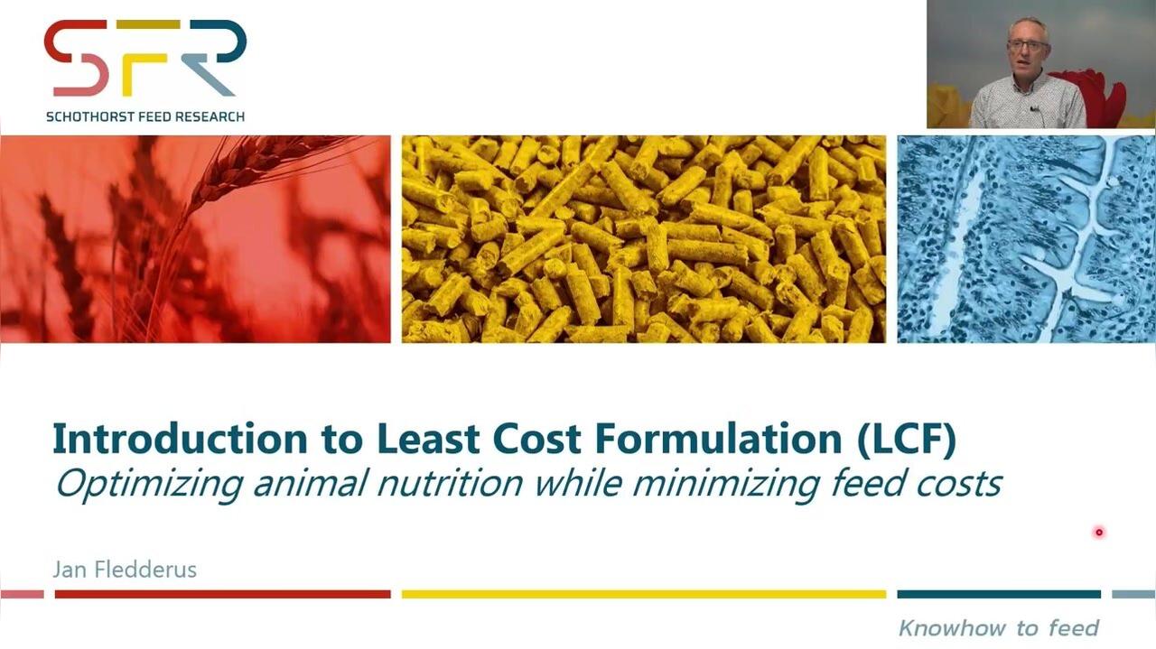 Principles of Least Cost Formulation