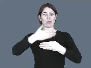 window.mp4