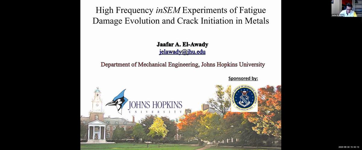 High Frequency In Situ Experiments of Fatigue Damage Evolution and Crack Initiation in Metals