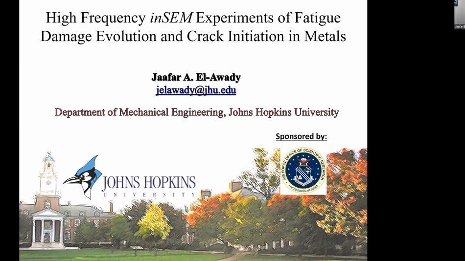 High Frequency In Situ Experiments of Fatigue Damage Evolution and Crack Initiation in Metals
