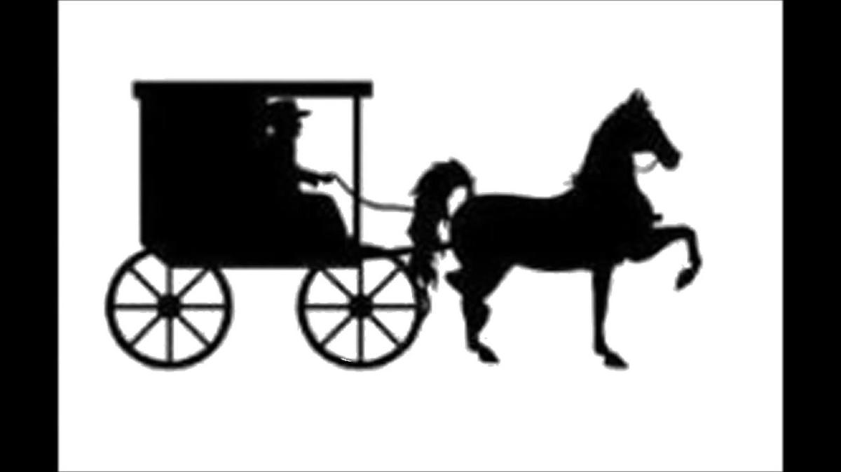 amish carriage
