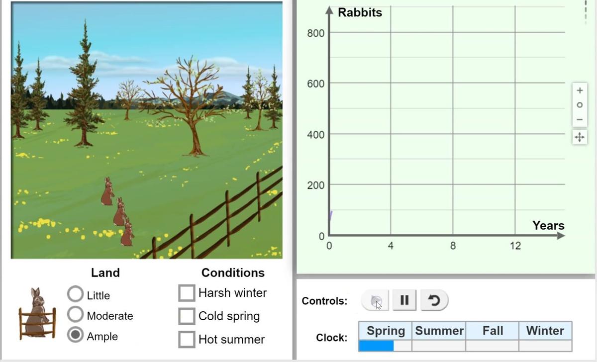 rabbit simulation.mp4