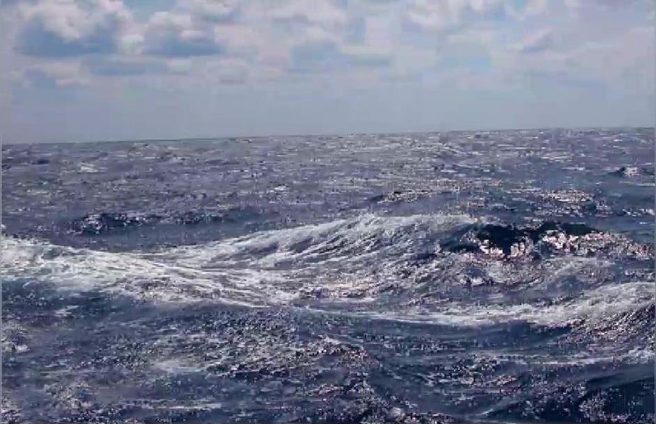 Ocean_Floor__Deep_Sea_Benthos.mp4