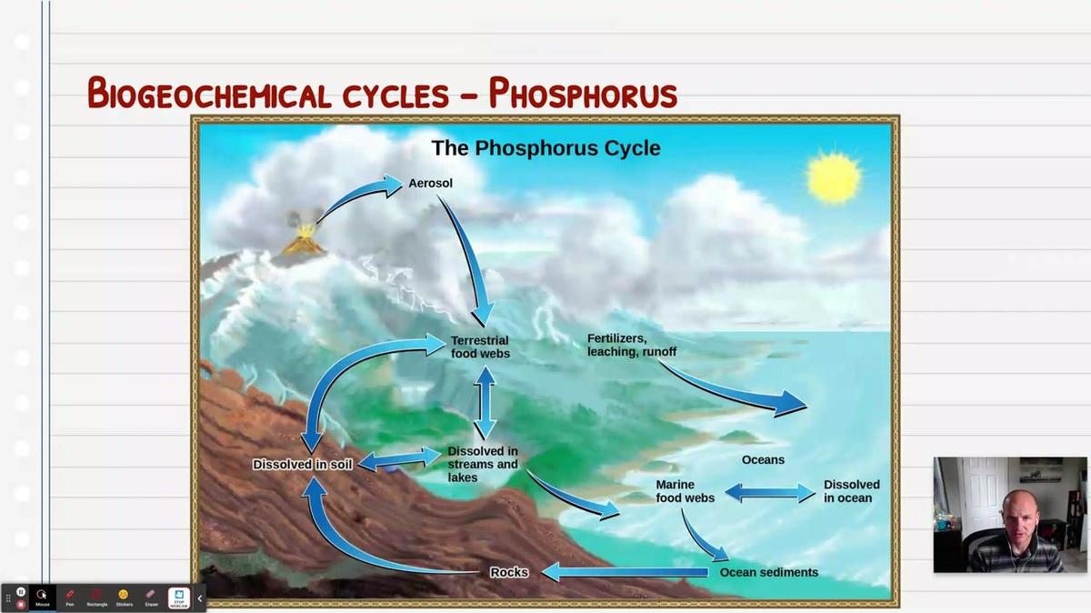 Topic 4: Phosphorus Cycle and Eutrophication