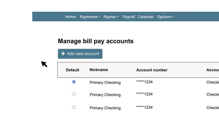 BPIPB11 - Bill Pay Accounts