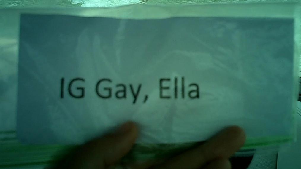 Ella Gay IG Round 2 Pass 2