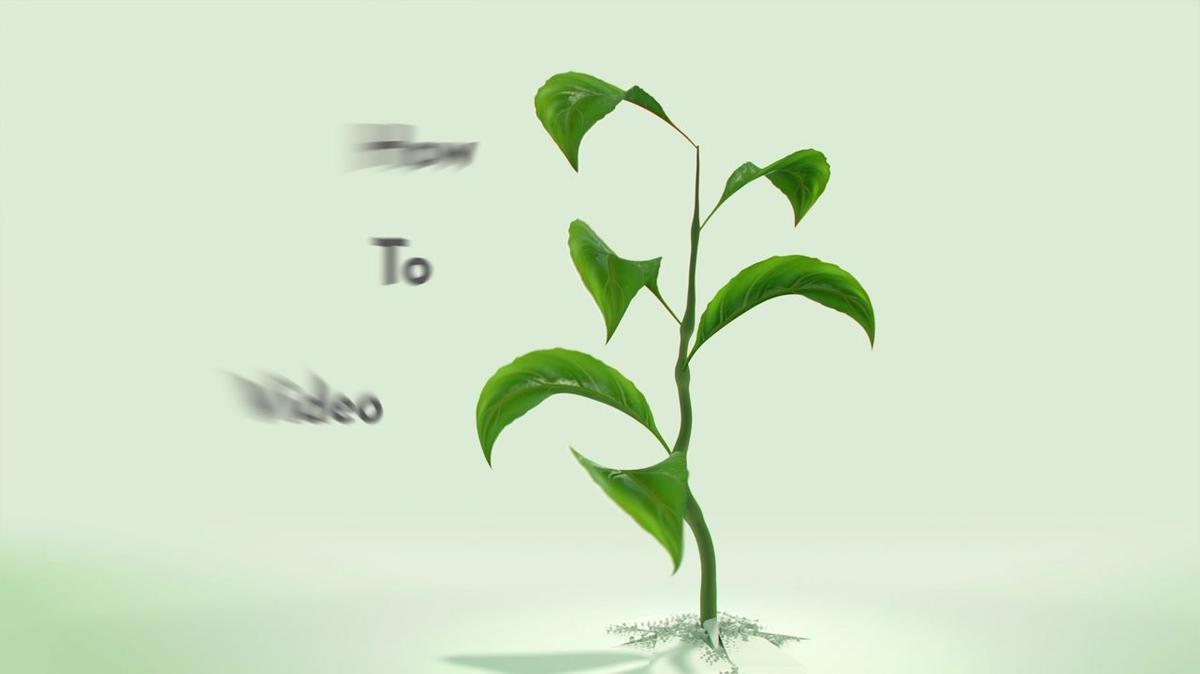 How To Video - Smartphone Camcorder - Draft 1