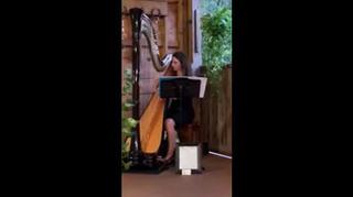 Harpist (K.C)