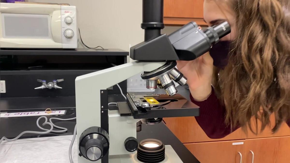 The Margin of Excellence - Biology
