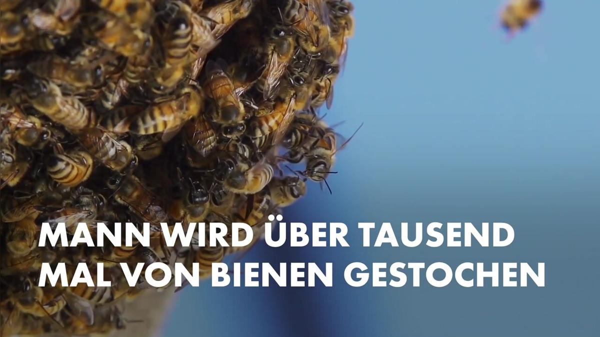 Mann wird über tausend Mal von Bienen gestochen