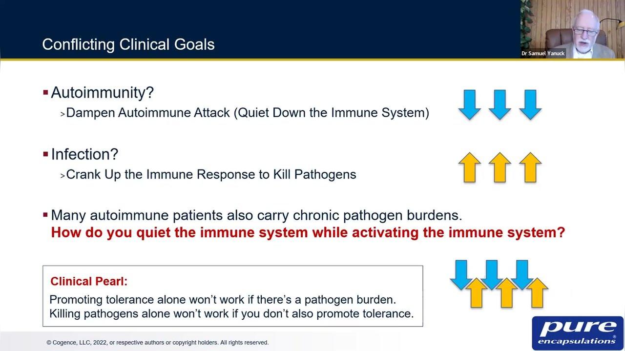 Addressing Dysregulation and Restoring Immunological Homeostasis -Dr Yanuck