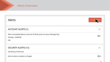 Alerts Overview