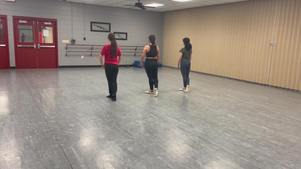 Ballerinas J.D