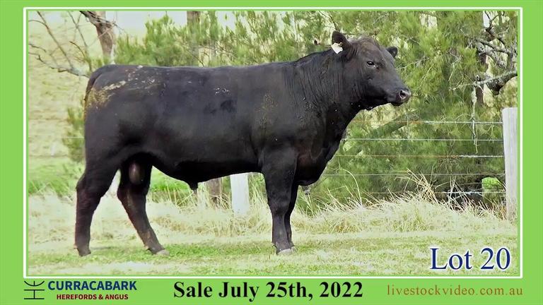 Lot 20 Curracabark 2022