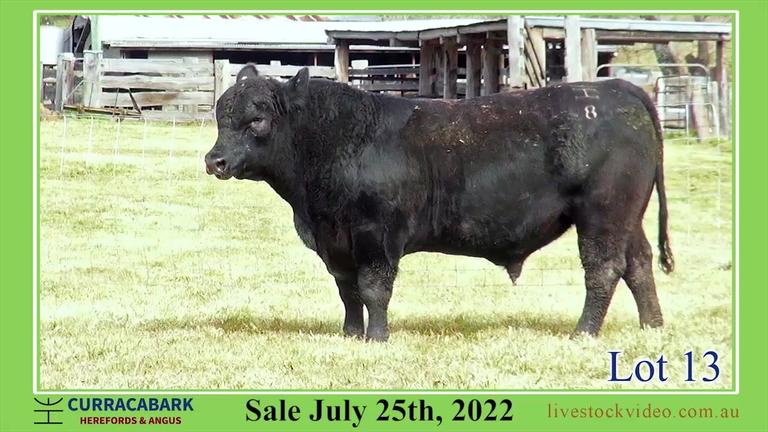 Lot 13 Curracabark 2022