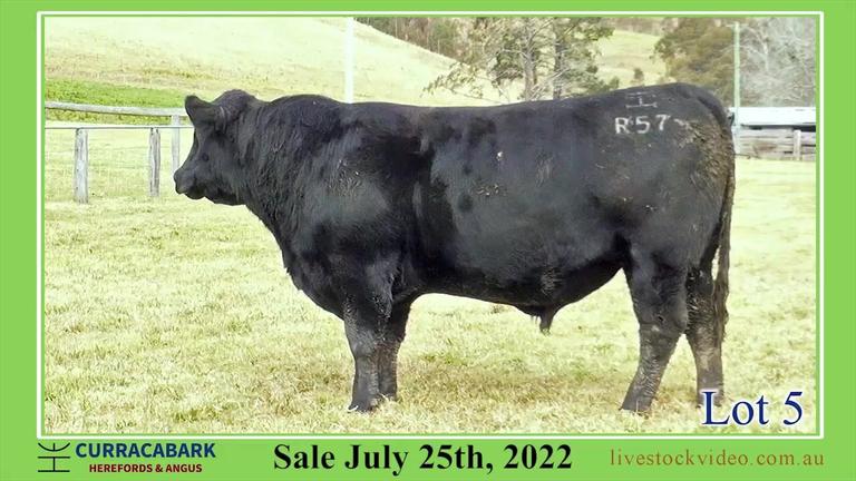 Lot 5 Curracabark 2022