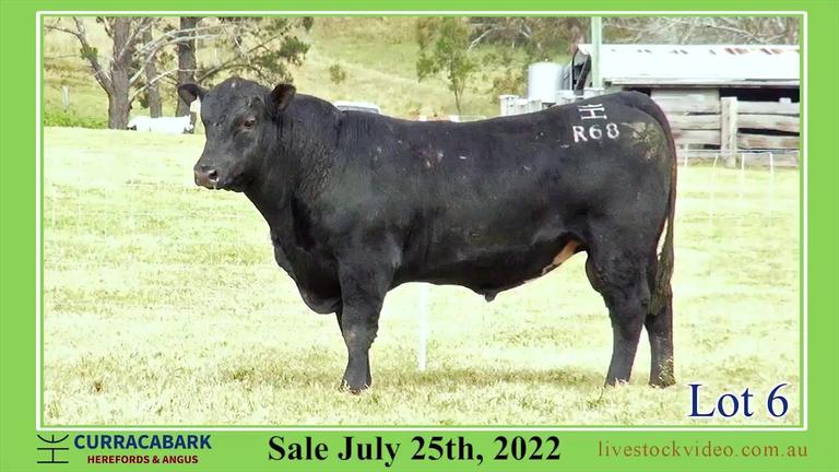 Lot 6 Curracabark 2022