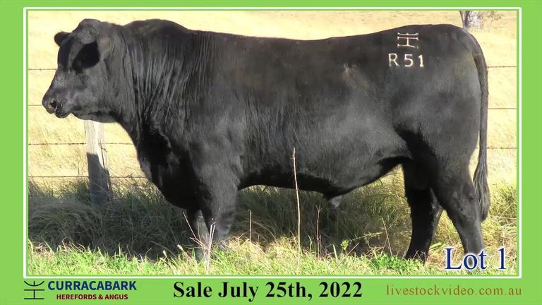 Lot 1 Curracabark 2022