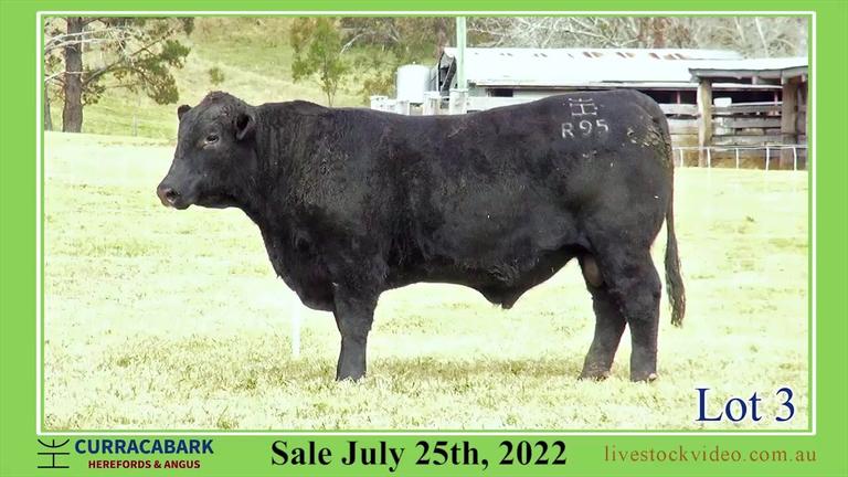 Lot 3 Curracabark 2022