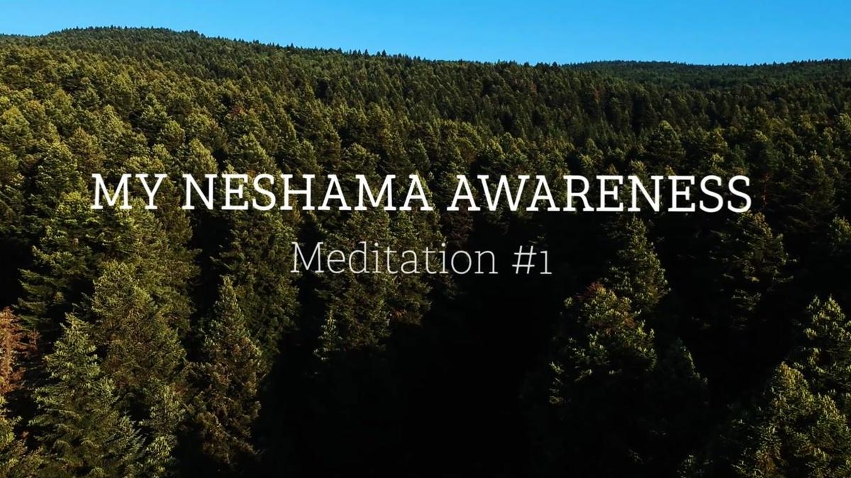 Reaching New Heights Meditation 1 - My Neshama Awareness