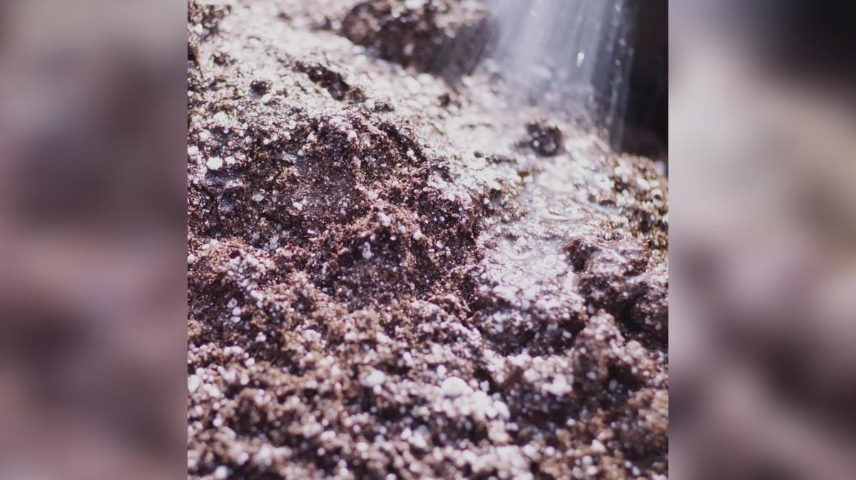 EARTH DAY 2022 15 1-1