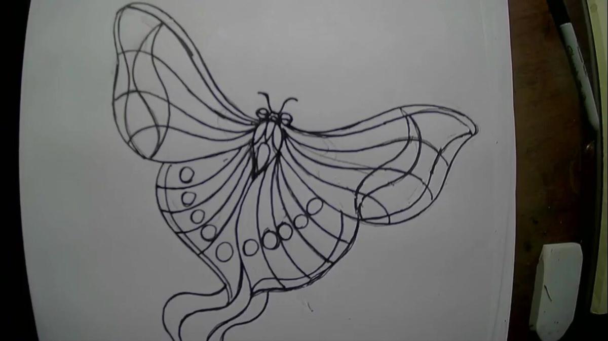 Coloring page of beautiful butterflies