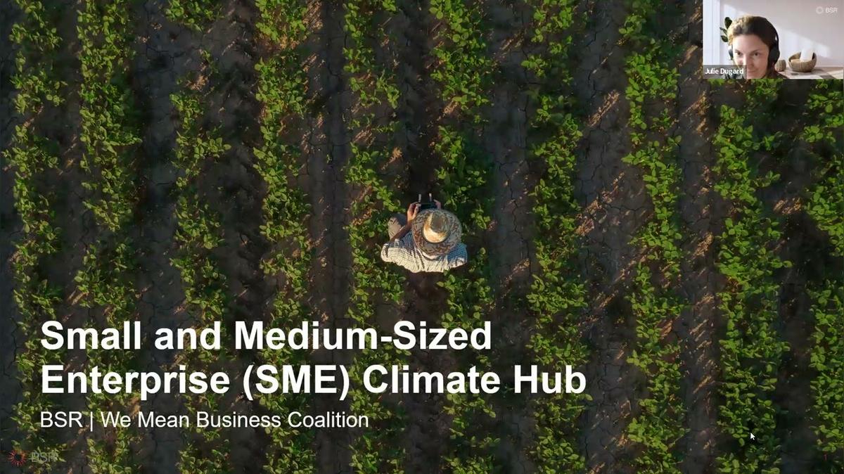 Engaging SME Suppliers on Climate Action: Practical Tools and Strategies (Asia/Europe)