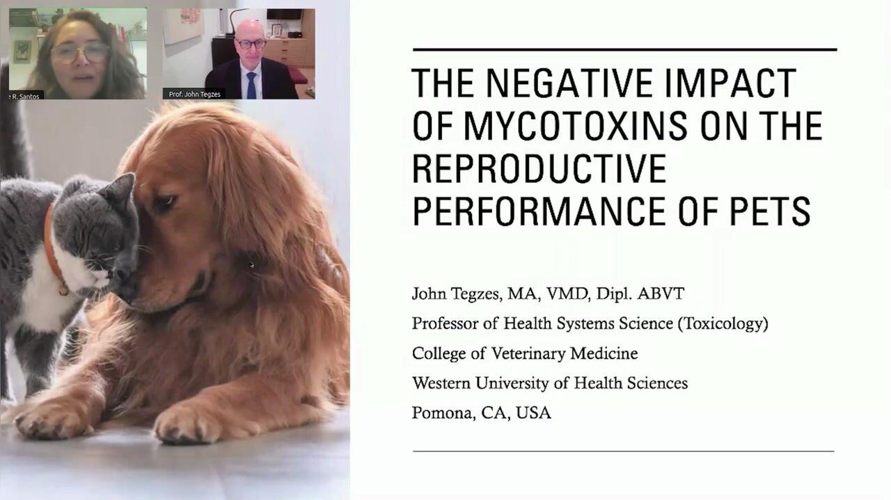 The adverse effects of mycotoxins on the reproductive function of pets