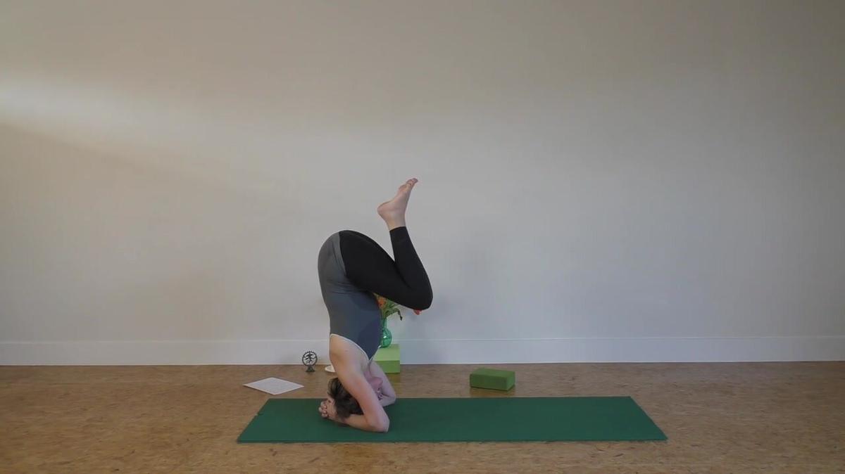 Warrior Flow with headstand