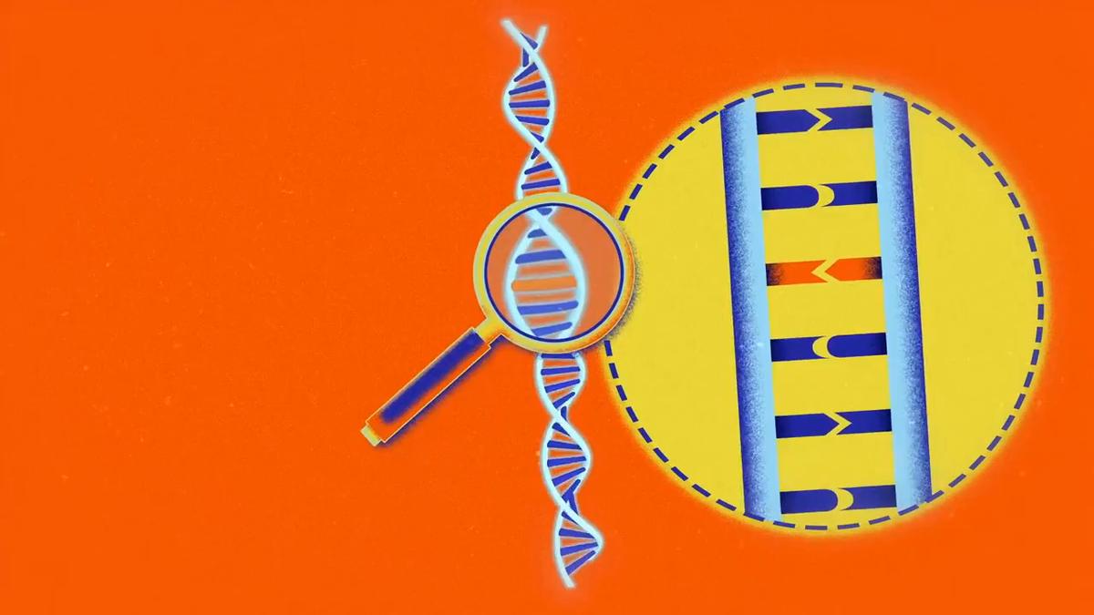UVM Cancer Center Genetic Testing