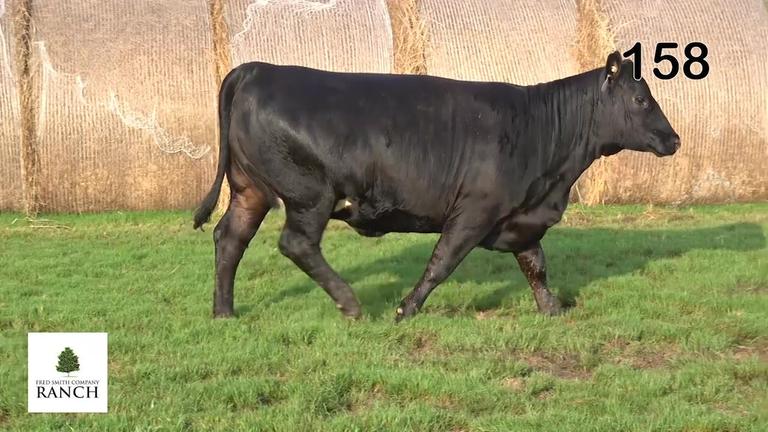 Lot 158 M139