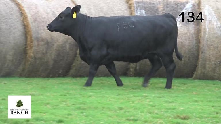 Lot 134 L373