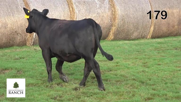 Lot 179 M344