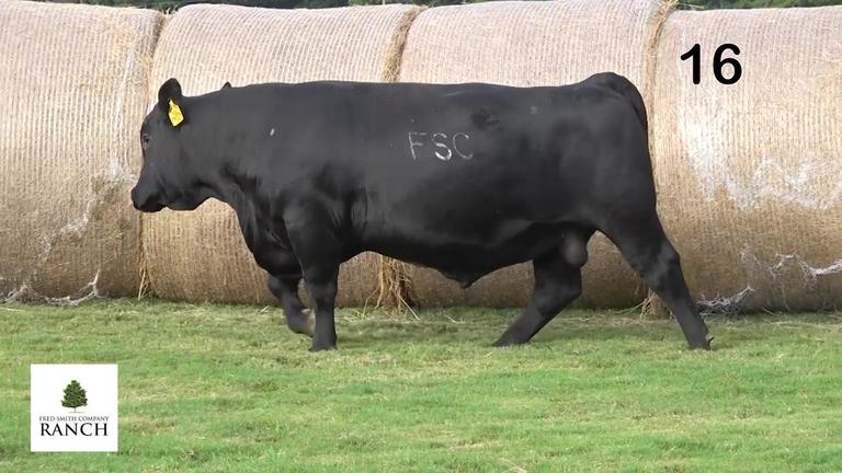 Lot 16 M024