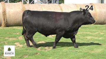 Lot 24 M158