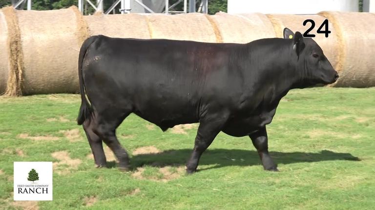 Lot 24 M158