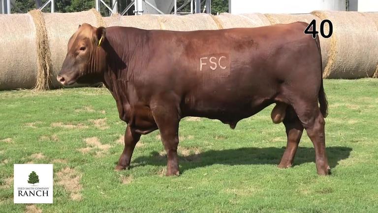Lot 40 M102