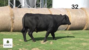 Lot 32 M028