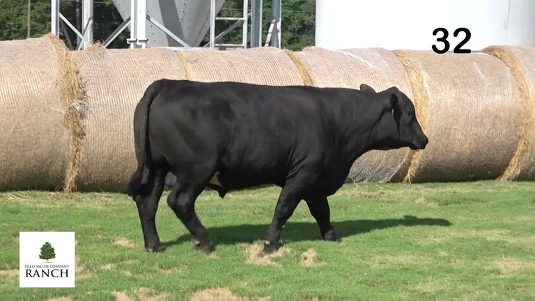 Lot 32 M028