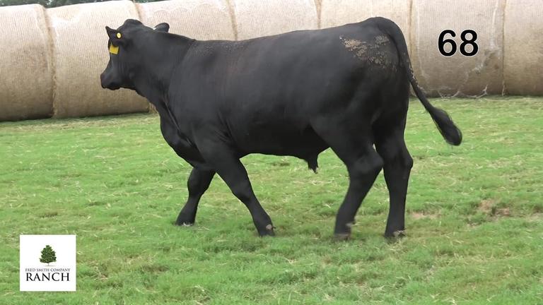 Lot 68 M239