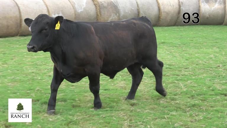 Lot 93 M230