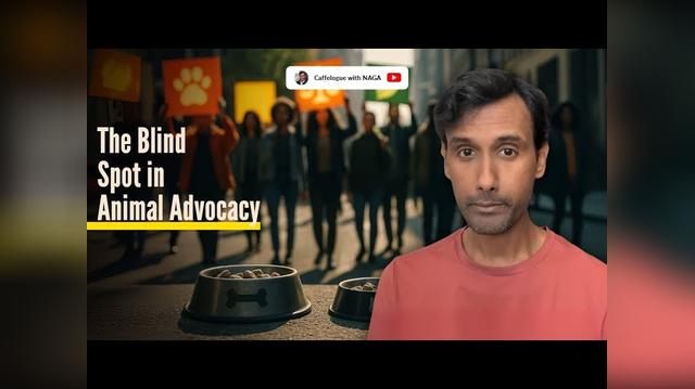 ?? Is Your Dog's Dinner Destroying Nature? | The Blind Spot No One Talks About! ⚠️?